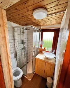 a bathroom with a toilet and a shower and a sink at MANDULÁS KABIN a kisház dézsával és kilátással a Balatonra in Balatongyörök
