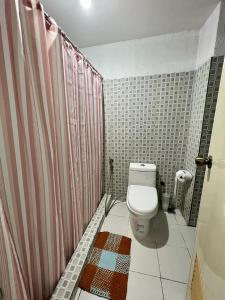 a bathroom with a toilet and a pink shower curtain at Somerset Condominium Tower 1 in Manila