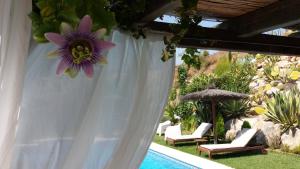 Basen w obiekcie Bed & Breakfast | Guest House Casa Don Carlos lub w pobliżu