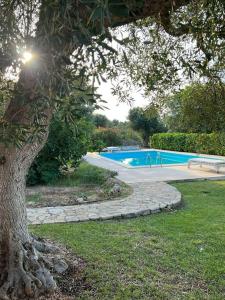 ein Pool im Garten mit einem Baum in der Unterkunft Villa Agosto, luxe villa met zwembad en zeezicht in Puglia in Carovigno
