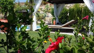 Ogród w obiekcie Bed & Breakfast | Guest House Casa Don Carlos