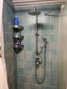 y baño con ducha con cabezal de ducha. en בית האבן העתיק מ-1885 en Rosh Pinna
