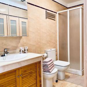 a bathroom with a toilet and a sink and a shower at The best Views - La Gomera in San Sebastián de la Gomera