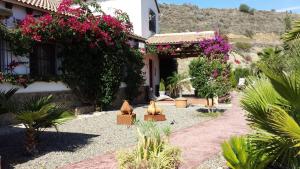 Ogród w obiekcie Bed & Breakfast | Guest House Casa Don Carlos