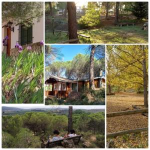 un collage de fotos con una casa y árboles en Casitas La Purísima Lavanda, en Requena