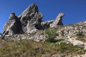 Príroda v okolí dovolenkového domu