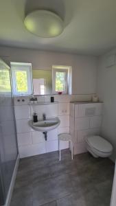 a bathroom with a sink and a toilet at Ferienhaus Hoddebüll nah an der Nordsee in Emmelsbüll-Horsbüll