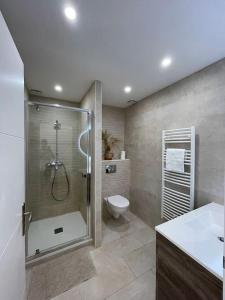 uma casa de banho com um chuveiro e um WC. em Grand studio neuf à Carry le Rouet em Carry-le-Rouet