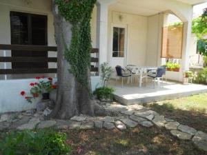 Ogród w obiekcie Apartment in Biograd na Moru with Terrace, Air conditioning, Wi-Fi 4801-1