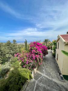 a garden with pink flowers next to a building at Bellapais Gardens in Kyrenia