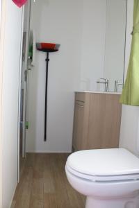 a bathroom with a white toilet and a sink at Altogold Swiss Holidays At Manor Farm 5* in Interlaken +87 photos