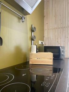 uma cozinha com um balcão com um micro-ondas em Malo les bains: duplex à deux pas de la plage. em Dunkerque