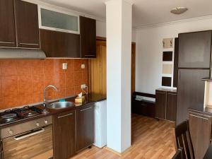 a kitchen with a sink and a stove top oven at Sara House in Târgu-Mureş