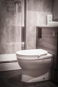 a white toilet in a bathroom with a shower at Nort Bode Apartments in Lerwick