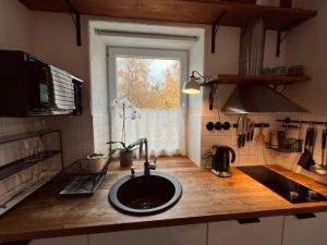 帕維洛斯塔的住宿－Pāvilostas Šīfermāja，带水槽的厨房台面和窗户
