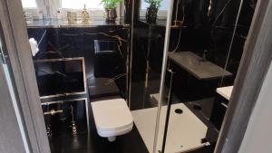 a black and white bathroom with a toilet and a sink at Dobry Dom II in Staszów +9 photos