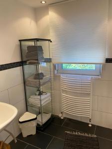 a bathroom with a shelf with towels and a window at Apartment Düsseldorf-Süd in Düsseldorf