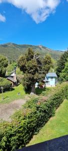 a tree in the middle of a yard with a house at Melipal Schuss ARG41 in San Carlos de Bariloche