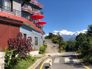 a dog walking down a street next to a building at Hotel Pristine Himalaya in Pokhara