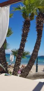 a group of palm trees on a beach at Malibu Summer Studios in Dassia