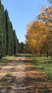 a dirt road with trees on either side at Capilla-Casa de campo in Capilla del Señor