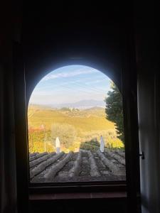 Zdjęcie z galerii obiektu Room in BB - Room overlooking the vineyards and Florence w mieście Carmignano
