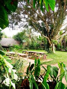 Happy Farm Tien Giang Homestay