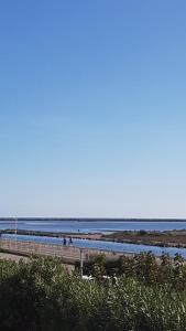 Naturlandskabet i nærheden af lejligheden