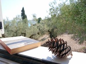 a book and a pine cone sitting on a table at Xigia hideaway - panoramic sea view house in Zakynthos Town