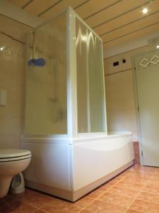 a bathroom with a shower and a toilet at Baita Li Selucia in Livigno