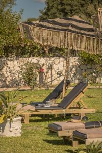 a group of chaise lounges on the grass in a yard at Queen Bee Residence in Minia