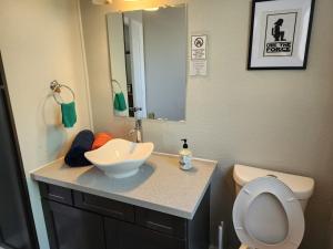un bagno con lavandino, WC e specchio di Luxury House Medical Center/Downtown/EV/Parking a Houston Altre 7 foto