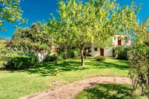 een huis met een boom in de tuin bij Graziosi appartamenti a Budoni con aria condizionata a soli 300 mt dal mare in Budoni +10 foto's