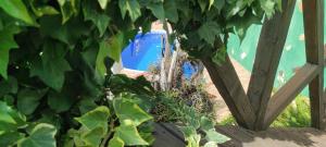 una boca de incendios azul sentada detrás de una planta en Casa Tata en Tijarafe