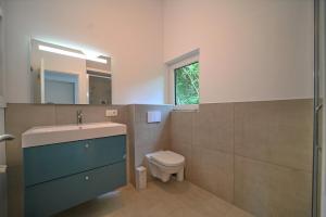 La salle de bains est pourvue d'un lavabo, de toilettes et d'un miroir. dans l'établissement Rabais 57-58, à Virton
