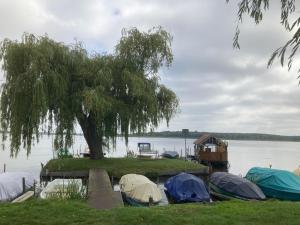 eine Gruppe von Zelten am Ufer eines Sees in der Unterkunft Das Floß - Biberspur in Brandenburg an der Havel