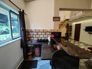 a kitchen with a counter and a sink in a room at Rosean Homestay Self Service Apartments in Candolim