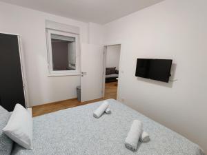 een slaapkamer met een bed en een flatscreen-tv bij Citadela apartment Novi Sad in Petrovaradin
