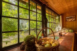 un cesto di frutta seduto di fronte a una finestra di Chalé da Quinta "Lavoura da Bouça - Fruta Bio" a Celorico de Basto