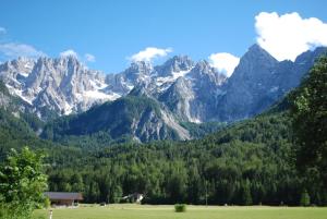 a view of a mountain range with a green field at Country House Trata in Kranjska Gora