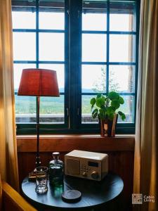 einen Tisch mit einer Lampe, einer Mikrowelle und einem Fenster in der Unterkunft Grand cabin Nesfjellet lovely view Jacuzzi sauna in Nes i Ådal