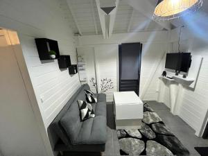 TV a/nebo společenská místnost v ubytování Villa doudite