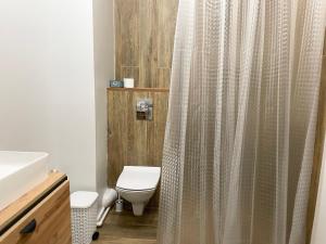 ein Bad mit einem WC und einem Duschvorhang in der Unterkunft Apartment on KShT in Öskemen