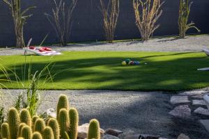 un jardin avec une pelouse et un cactus dans l'établissement The Desert Xscape Pool & Views, à Palm Springs