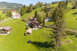 an aerial view of a house on a green hill at Haus Bergheimat in Oberstdorf