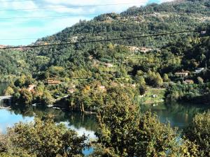 Naturlandskabet i nærheden af lejligheden + 20 billeder