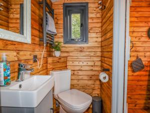 a bathroom with a toilet and a sink at Hideaway Cabin in Exeter