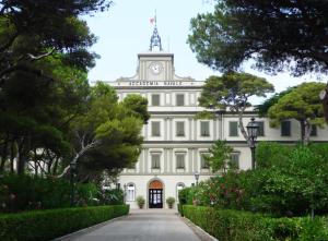 Сад в Sunnyside Accademia