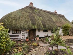 a thatch roofed cottage with a garden in front at 1 Peacock Cottage in Salisbury