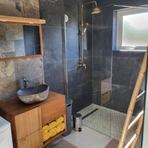 a bathroom with a sink and a shower at Villa Creole alamanda 2 in Petite Île
